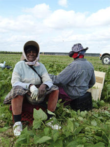 farmworkers