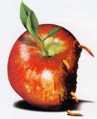 apple-rotten