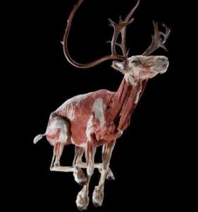 Aristide is a bad idea