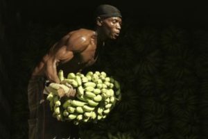 haiti-agriculture