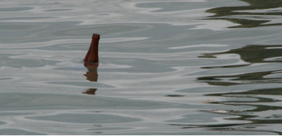 message-in-a-bottle-haiti