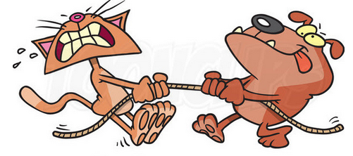 Screen Shot 2016-02-02 at 9.18.56 PM